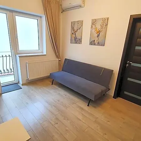 Casa Florescu 13