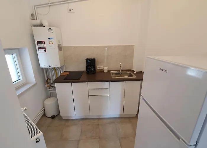 Casa Florescu 13 公寓式酒店