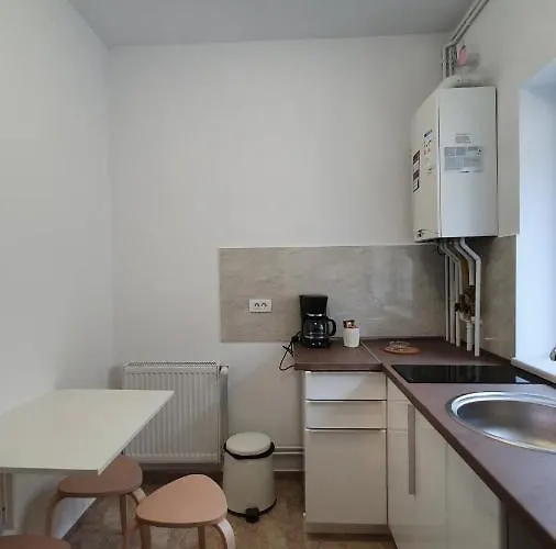 アパートホテル Casa Florescu 13 4*