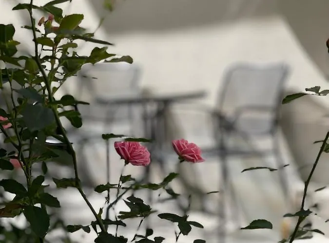 Casa Florescu 13 4* ブカレスト