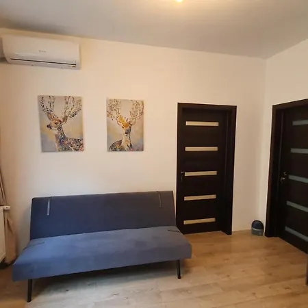 Ξενοδοχείο με διαμερίσματα Casa Florescu 13