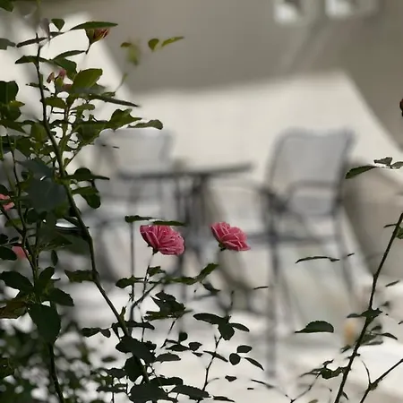 Casa Florescu 13 4* Βουκουρέστι