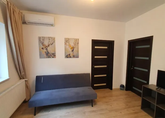 Апарт-готель Casa Florescu 13